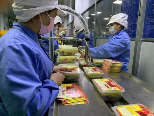 落實優惠政策，拓展“非接觸式”辦稅，稅務部門多措并舉助力企業復工復產